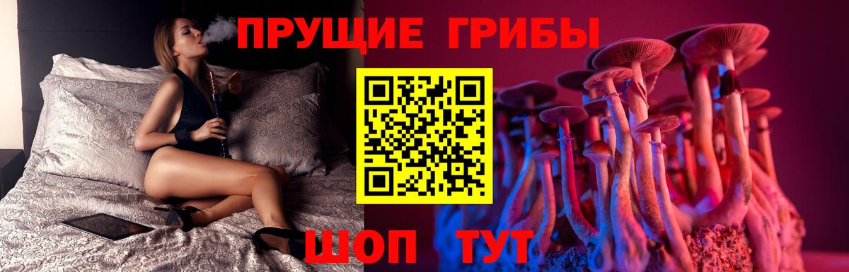 Находка  Псилоцибиновые грибы Psilocybine cubensis  Вход с VPN 